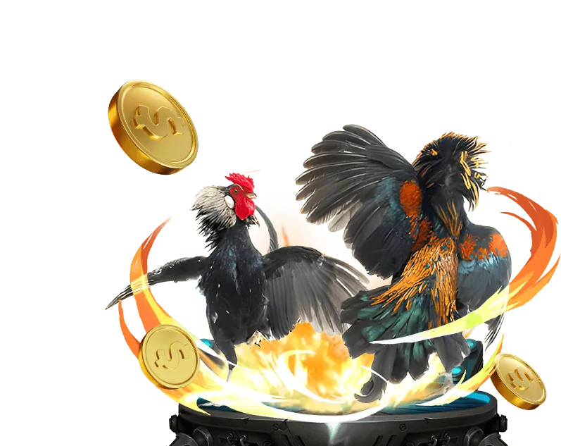 Hoàn trả hàng ngày do666 win